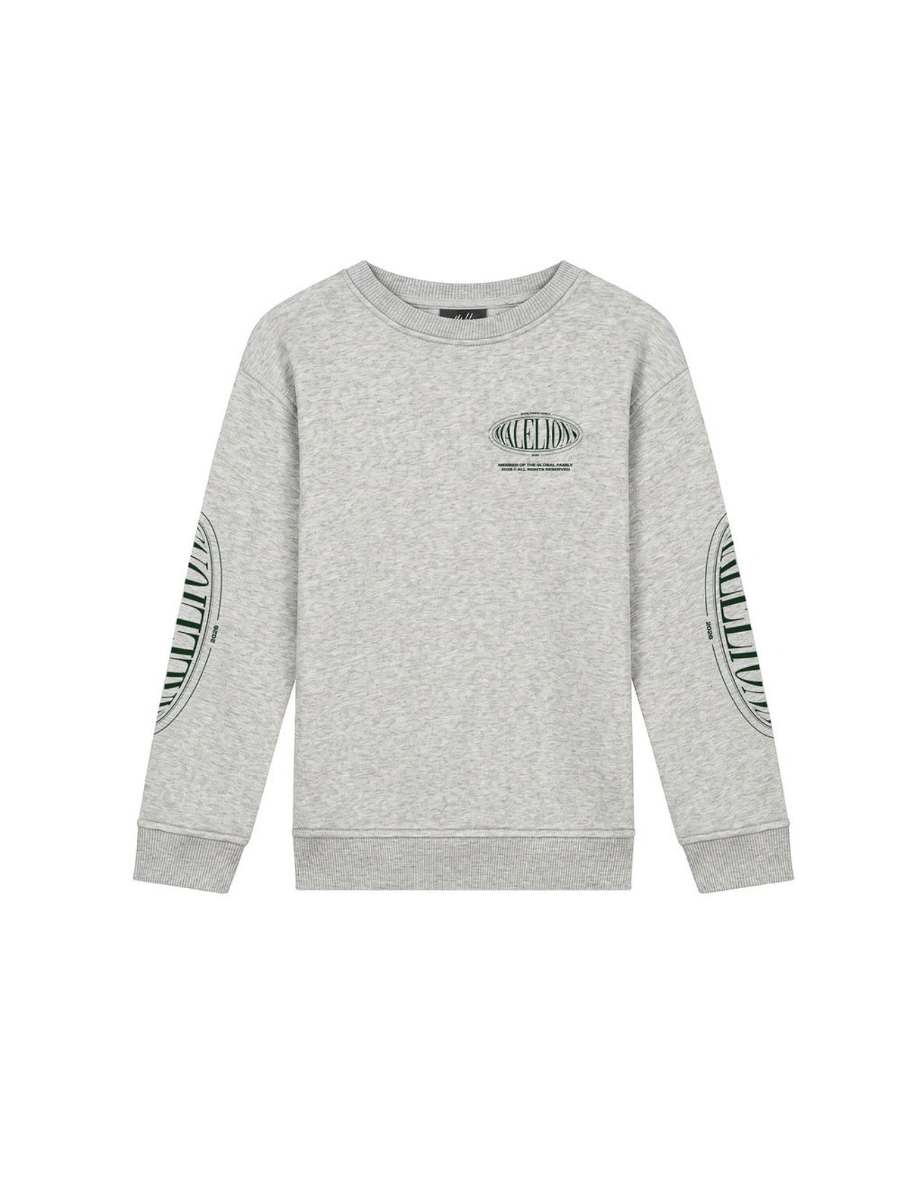 Joggingpak Grijs Malelions