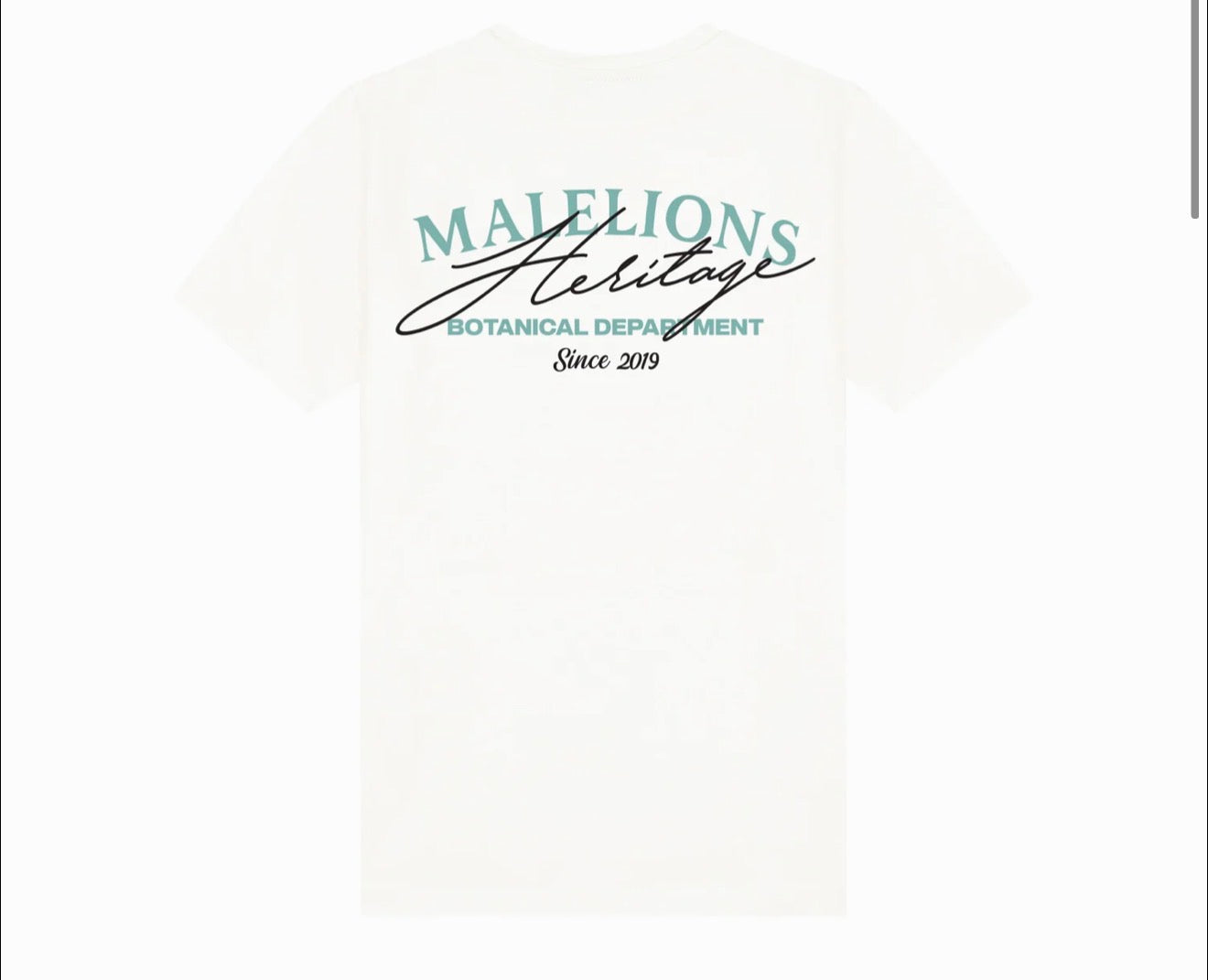 Shirt Malelions