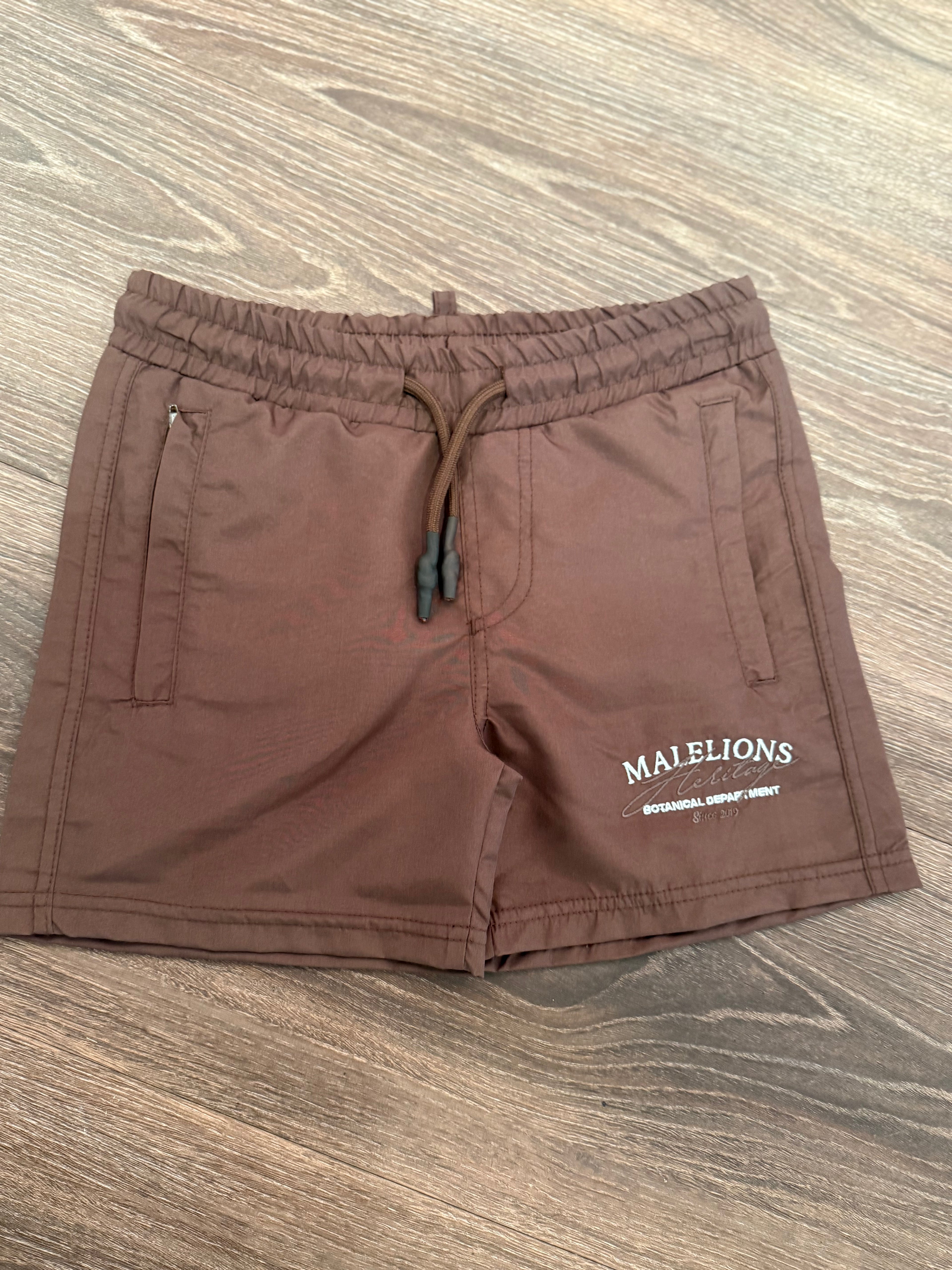 Zwembroek Heritage Malelions