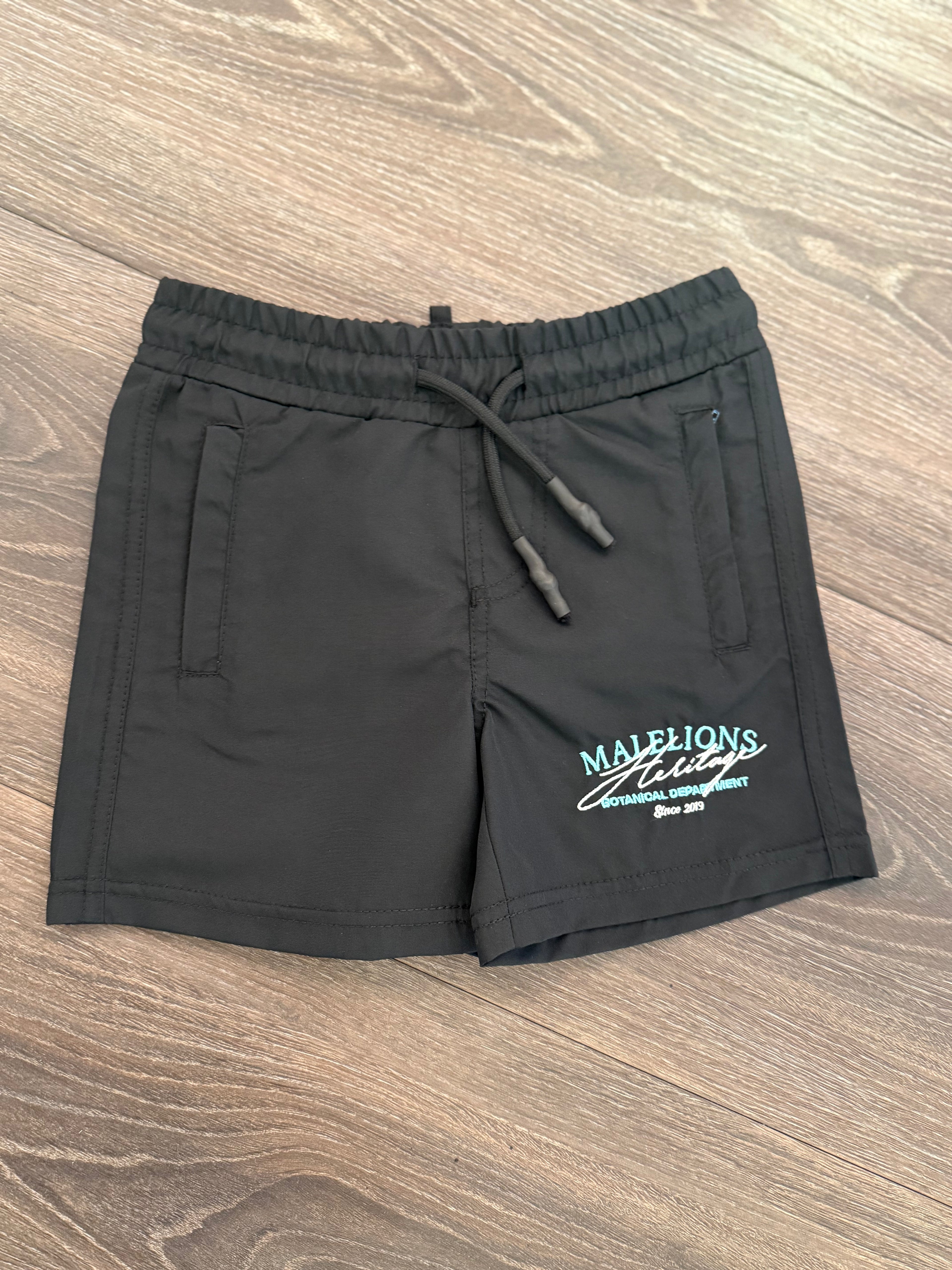 Zwembroek Heritage Malelions